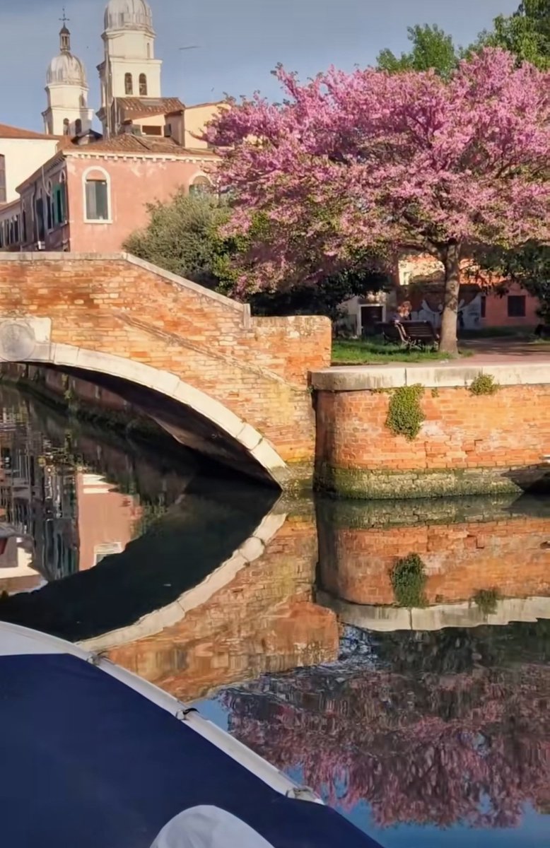 Monica 🍀⚘️🌍📚🐞🎧 tweet media