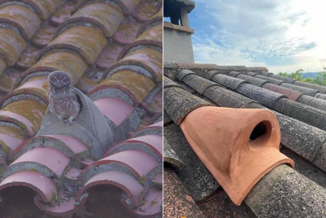 Francisco Gómez de Tejada | arquitecto tweet media