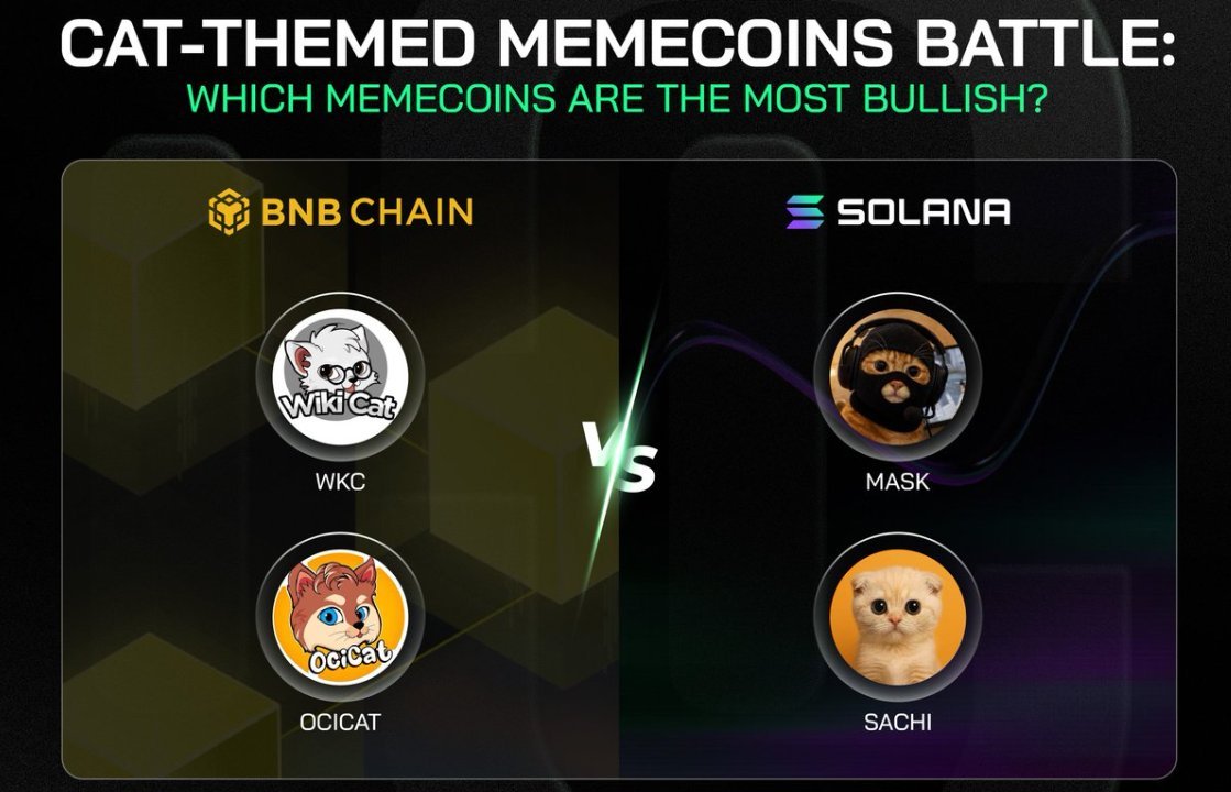 HotCommunities's tweet image. #BNBChain vs. #Solana in the Cat-Themed #Memecoin Battle! 🐱⚔️
👇 COMMENT your moon target for your favorite below! Which one hits a new 
Token logoBlockchain
ATH · 
&amp;lt;$0.01
 next? 🚀🌕
Liquidity is rotating, and these feline-themed gems are clawing their way to the top. Which