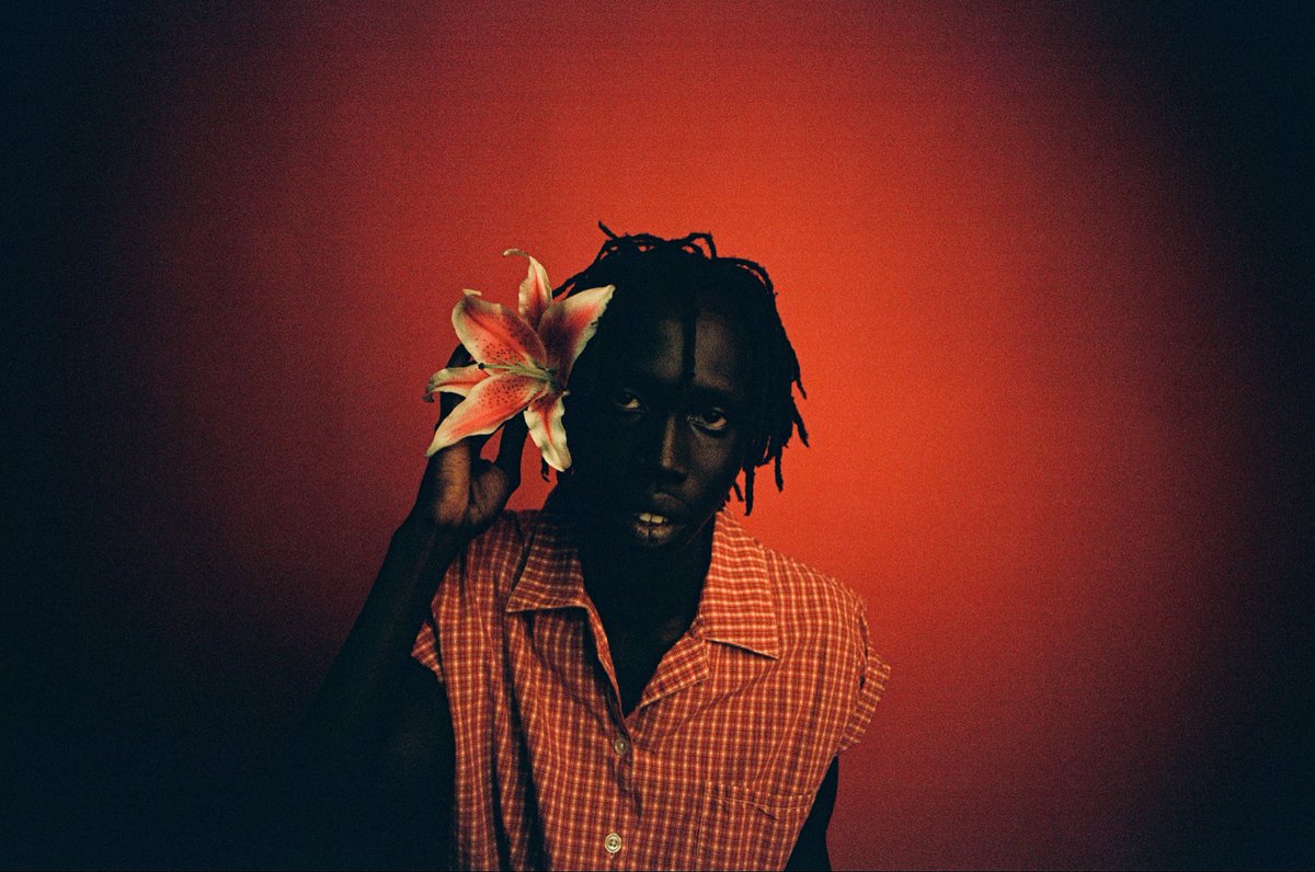 Finn Collins tweet media