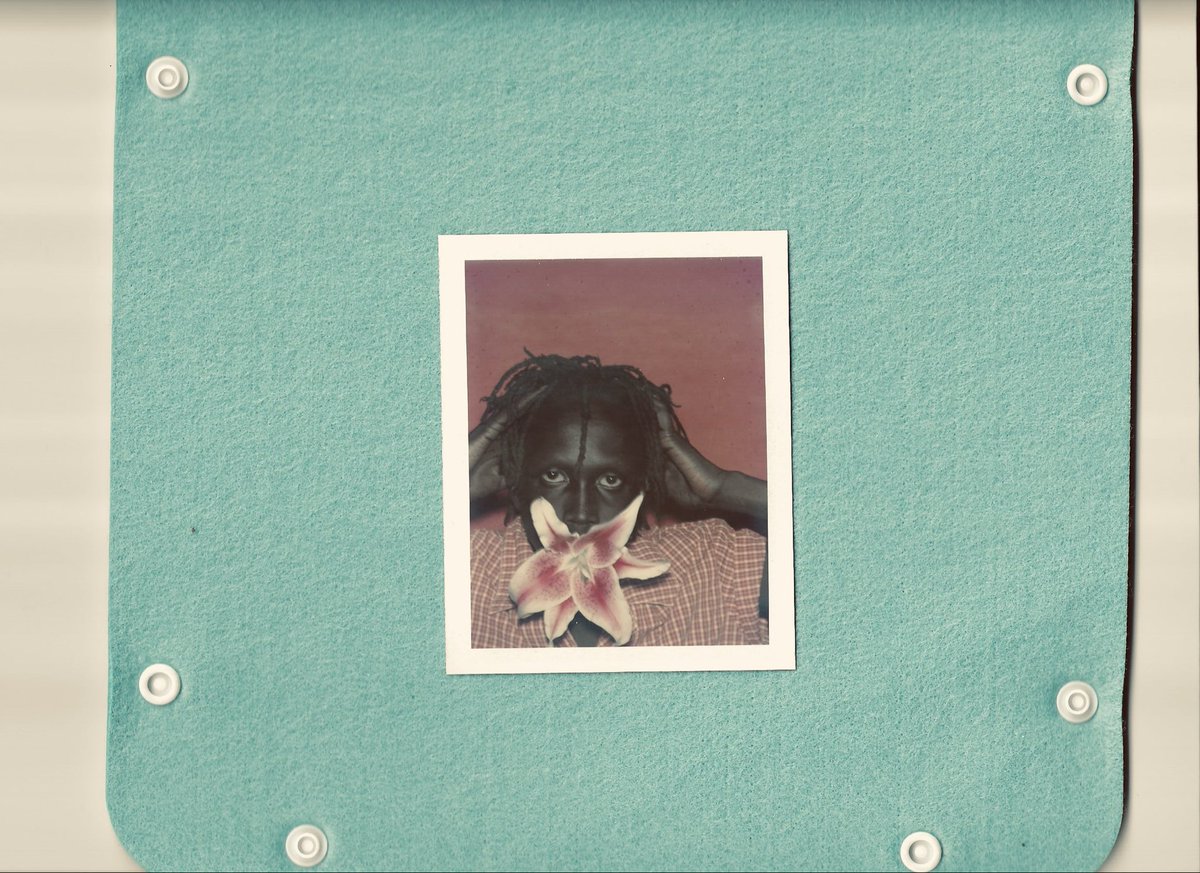 Finn Collins tweet media