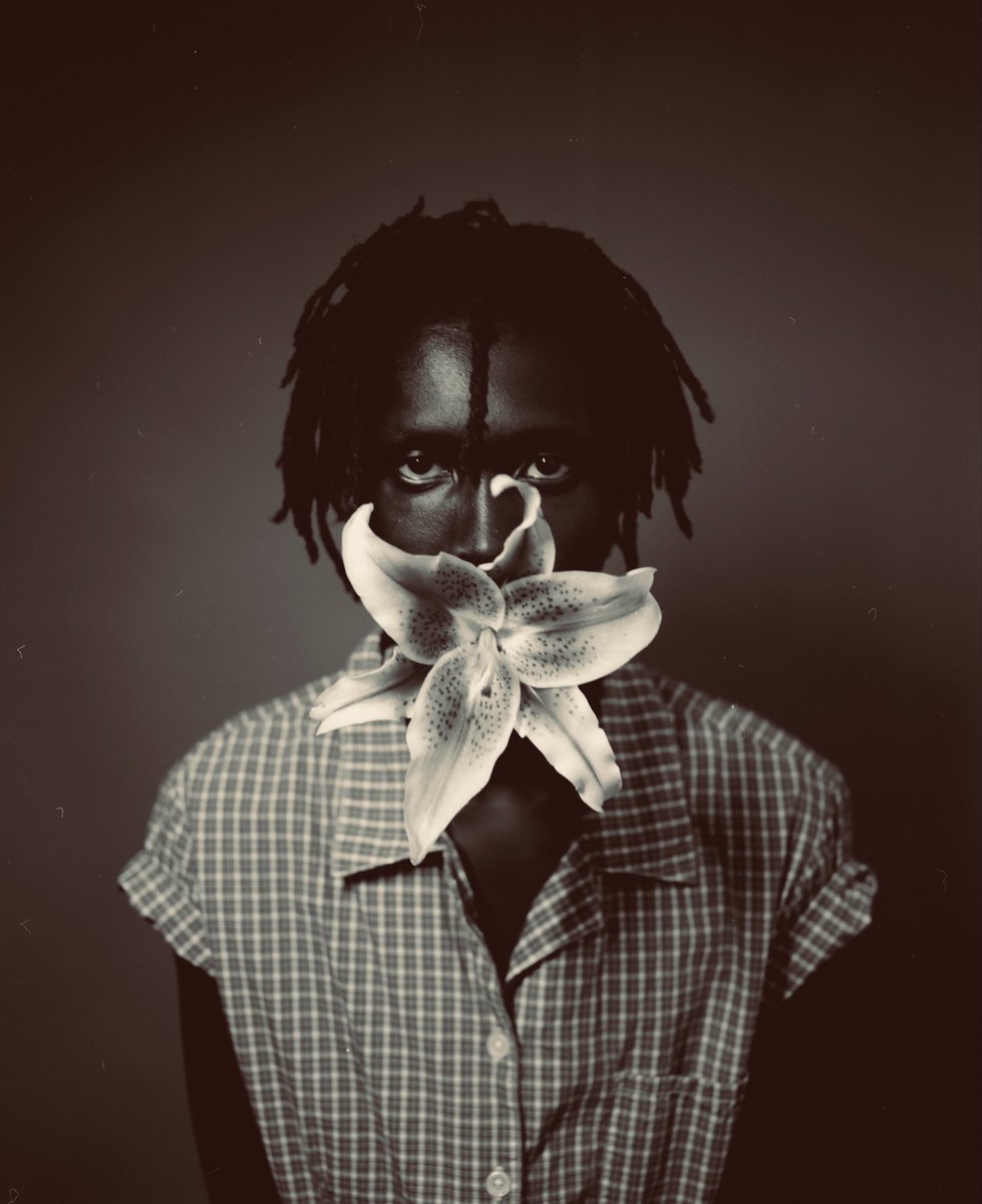 Finn Collins tweet media