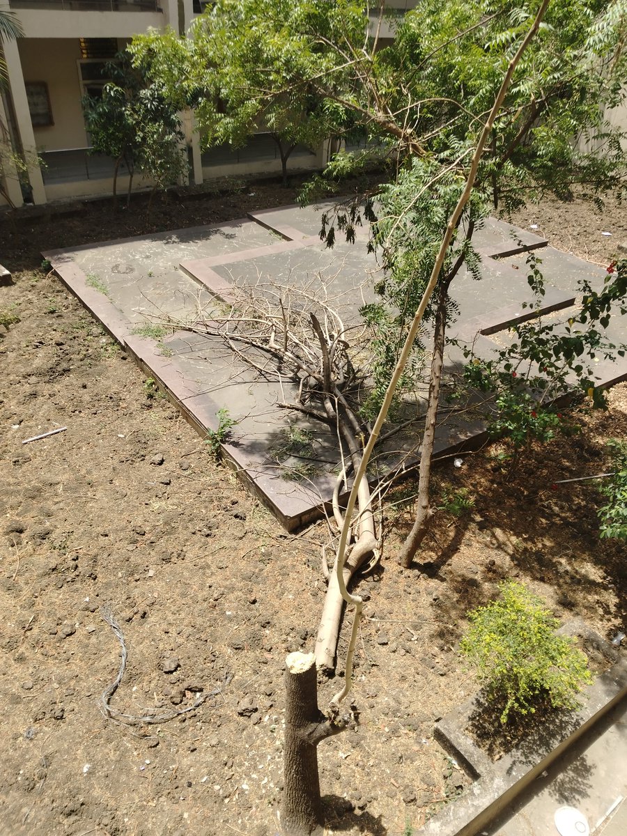 SanskarS7597's tweet photo. NIT Bhopal is losing its green lungs 🌳➡️🏗️
What was once a peaceful, biodiverse campus is turning into concrete,fewer trees, hotter days, disappearing birds.
Development shouldn’t mean destruction. #SaveMANIT #NIT #NITBhopal #StopDeforestation #ClimateCrisis #ActNow https://t.co/c6k3eHfTSj