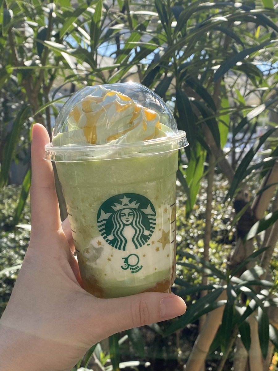 蜂(びぃ) tweet media