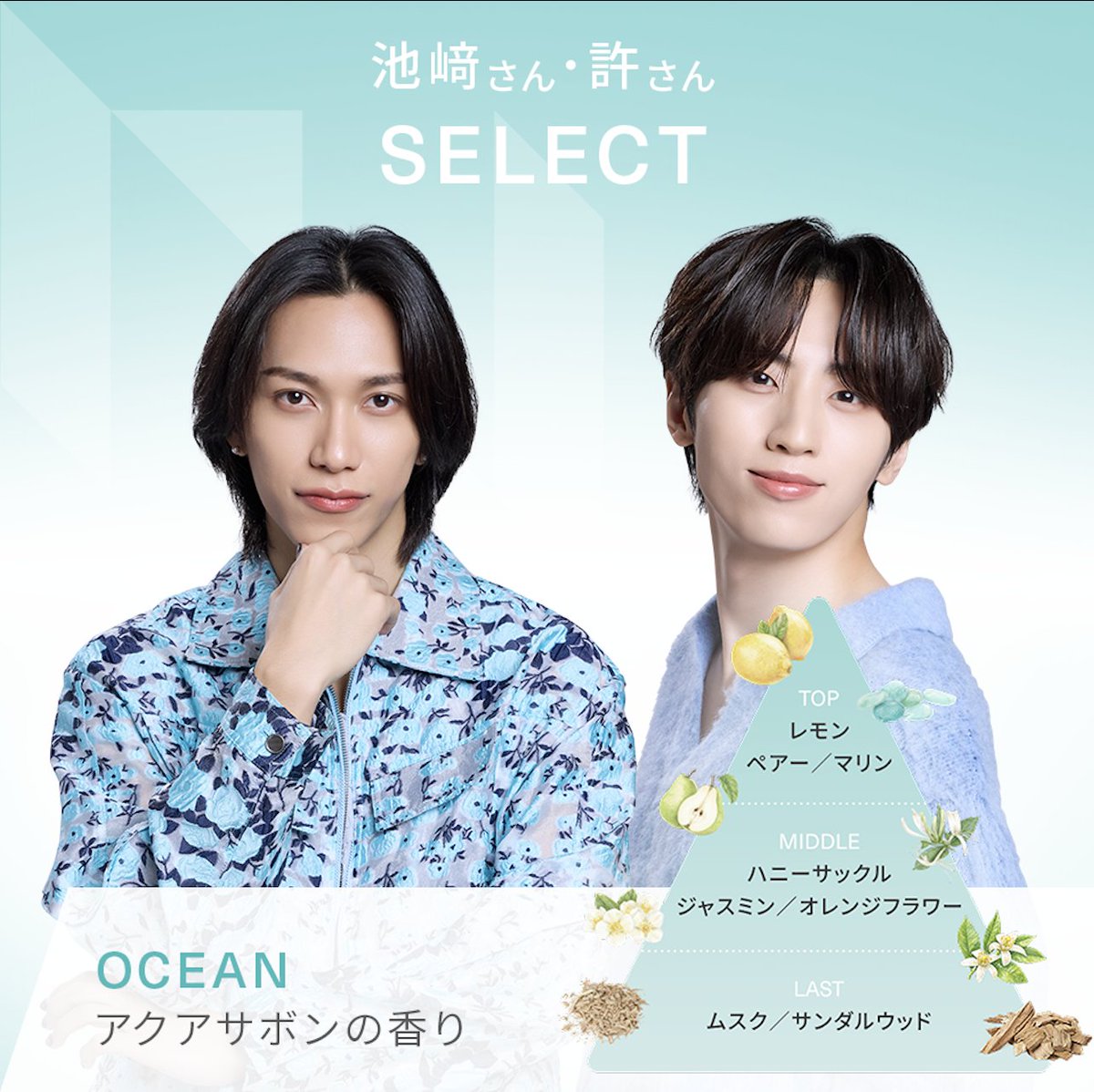 MEDULLA/メデュラ tweet media