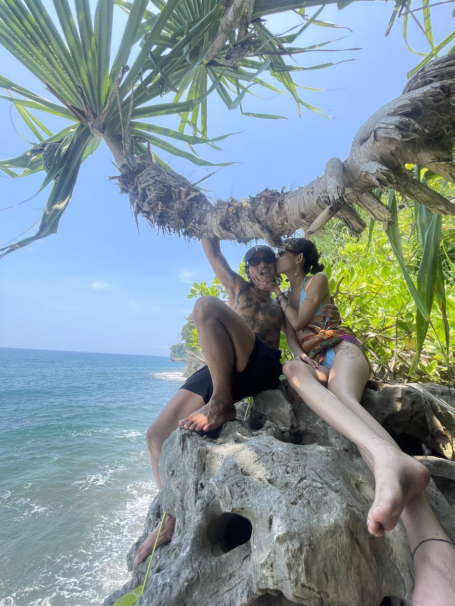 viera :c tweet media