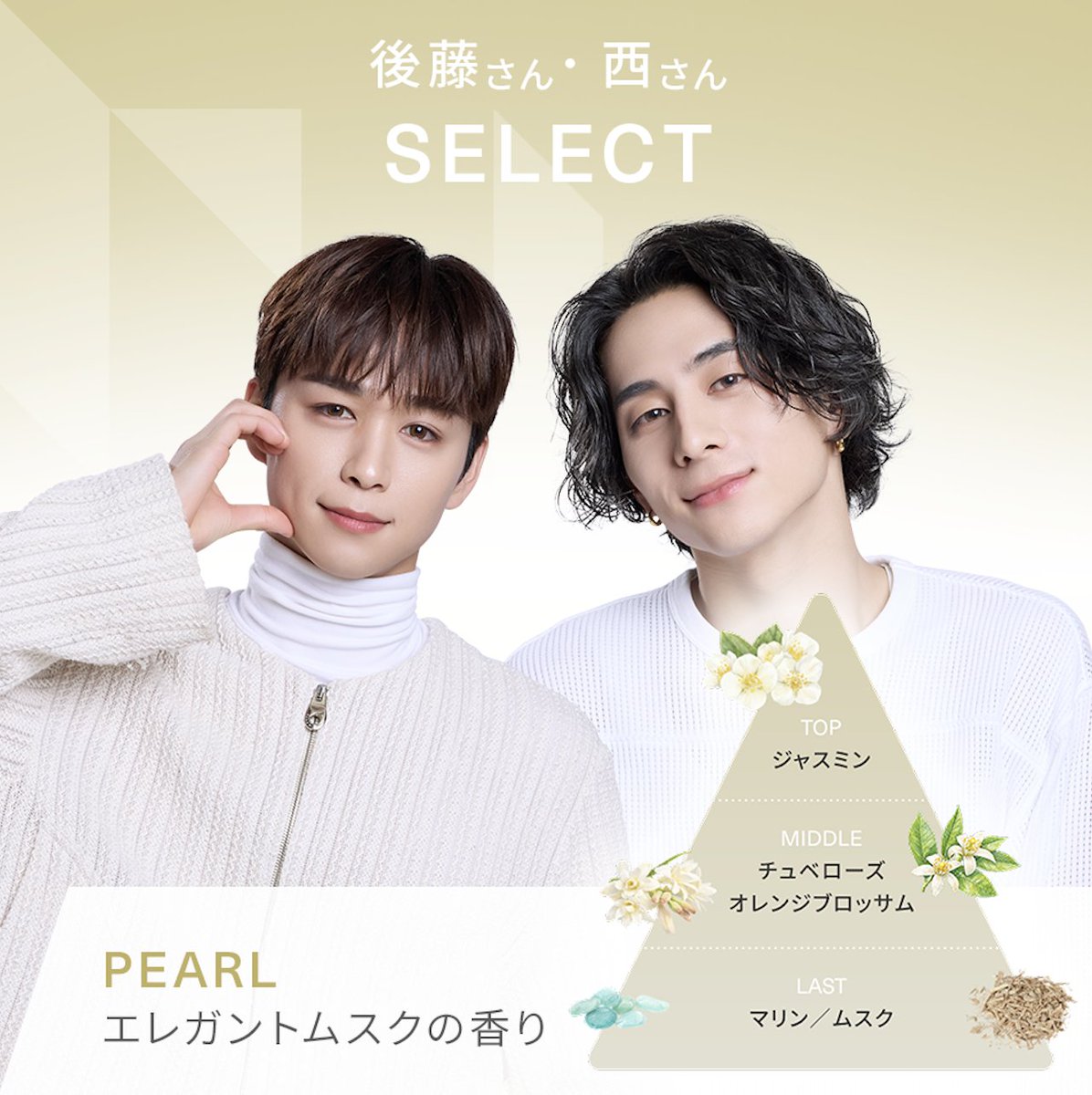 MEDULLA/メデュラ tweet media