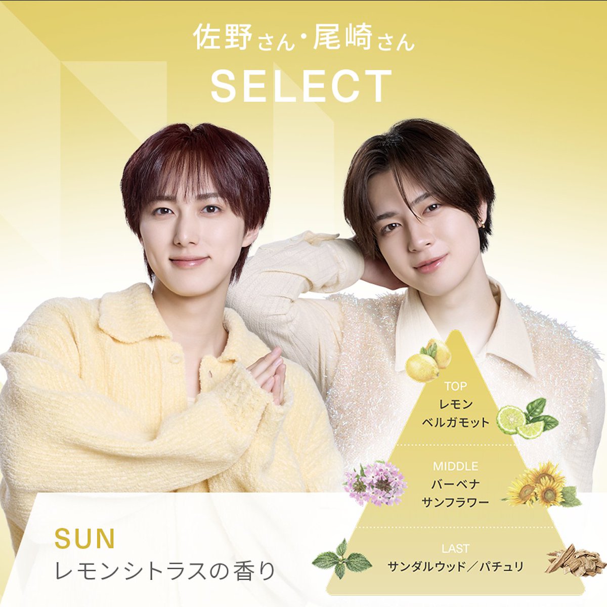 MEDULLA/メデュラ tweet media