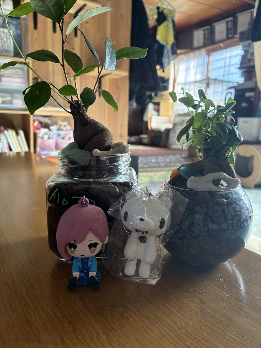 @もんにゃん（旧@monnyan） tweet media