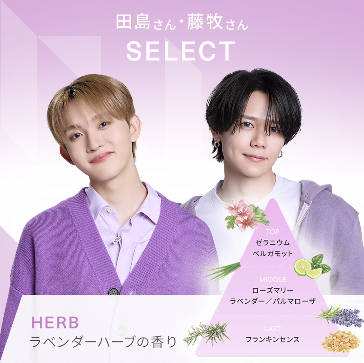 MEDULLA/メデュラ tweet media