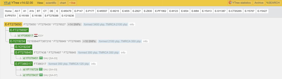 Y-DNA Sequencing in Egypt tweet media