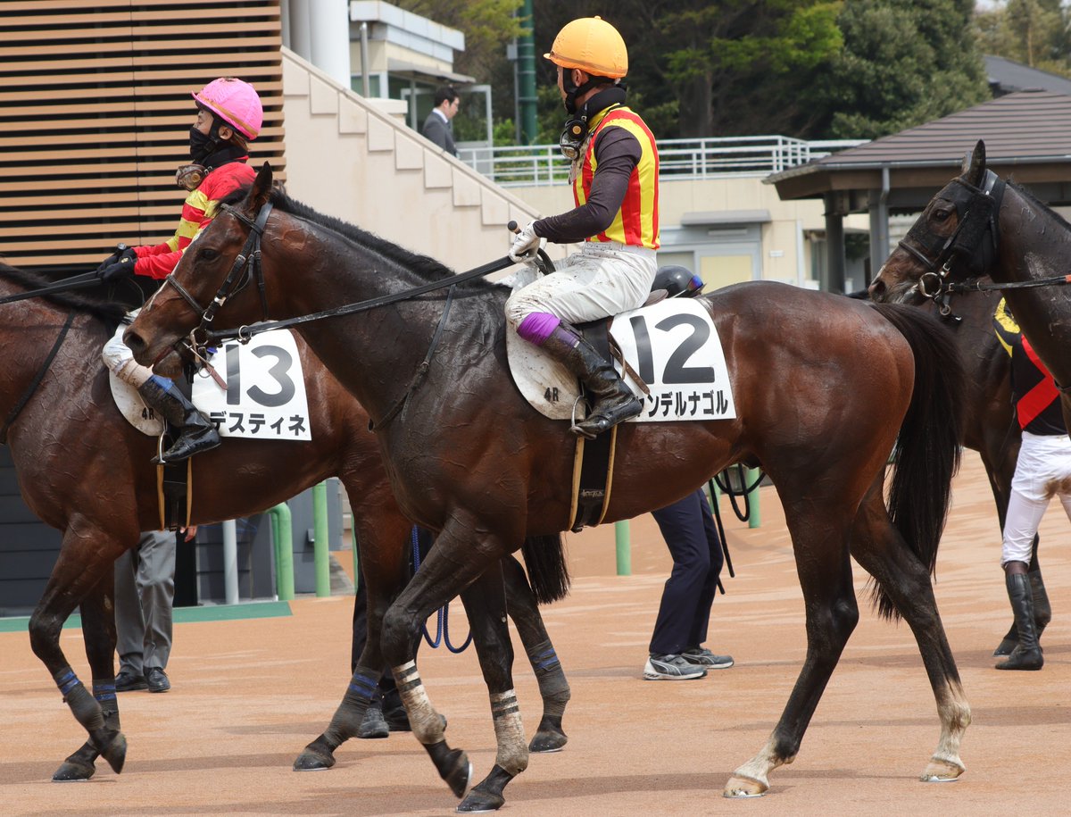 ジャンプレース応援隊 tweet media