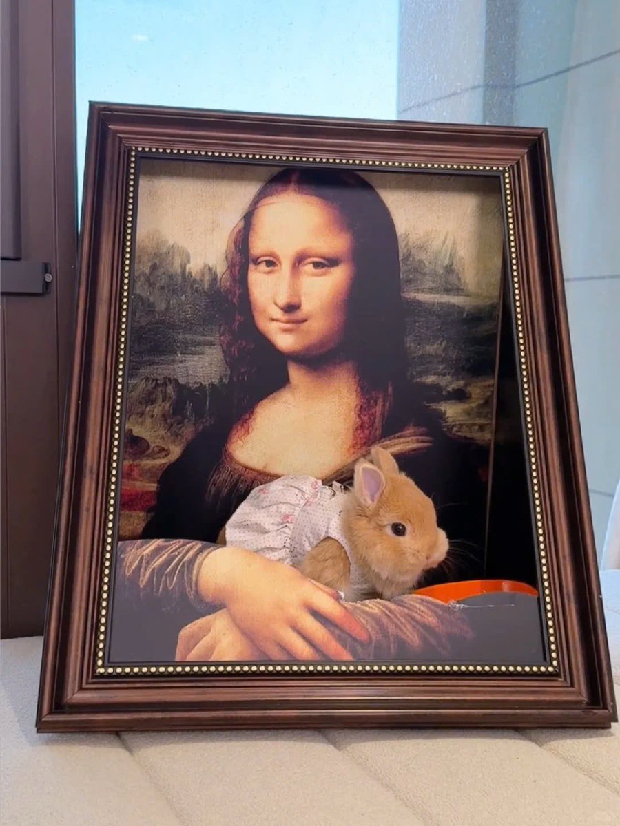 Why you should have a rabbit tweet media