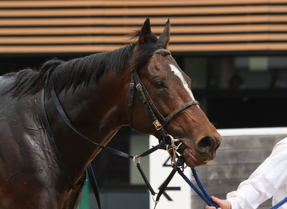 ジャンプレース応援隊 tweet media