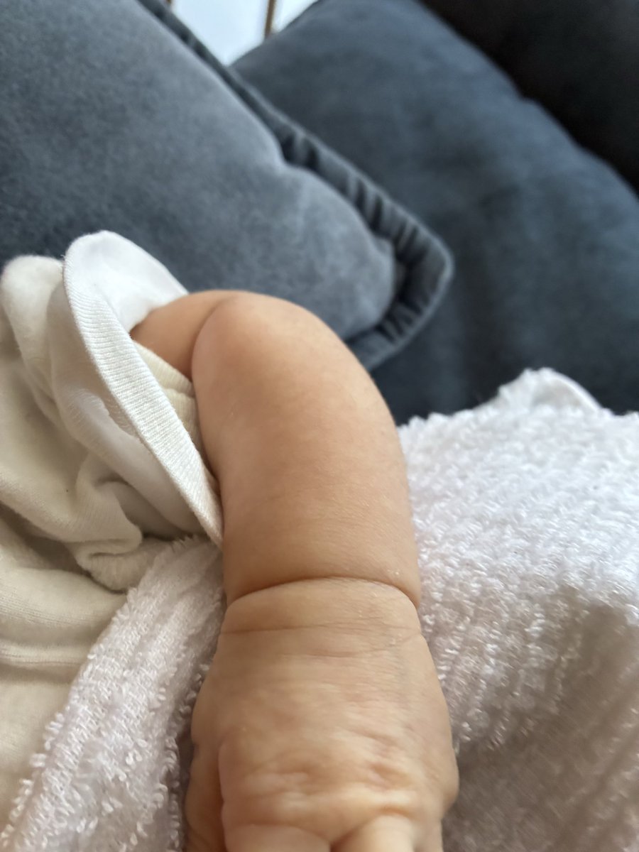 きゃべ次郎 tweet media