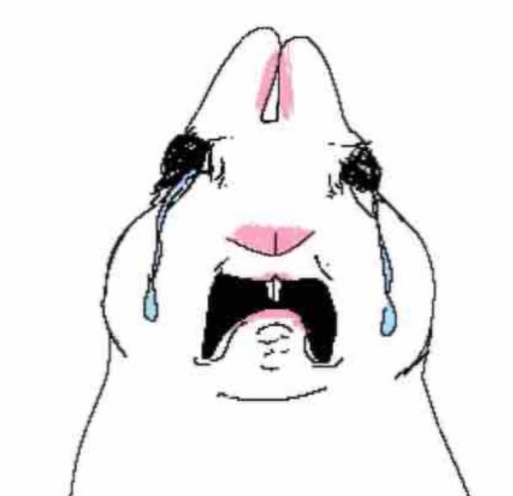 🔞~Pipo⚠️ tweet media