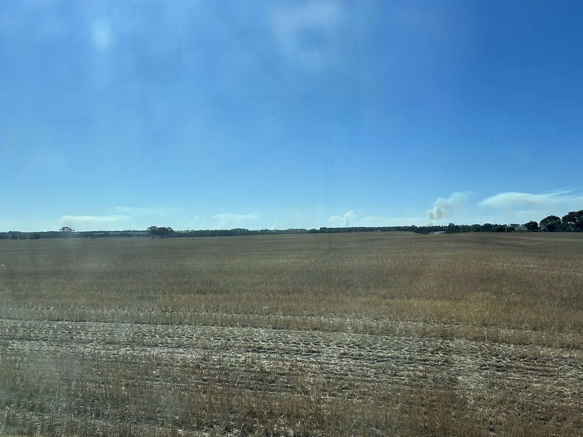 JJB McGill esquire Hoolz. living on McGill land tweet media