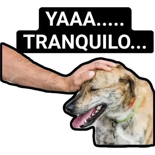 Paradero FC tweet media