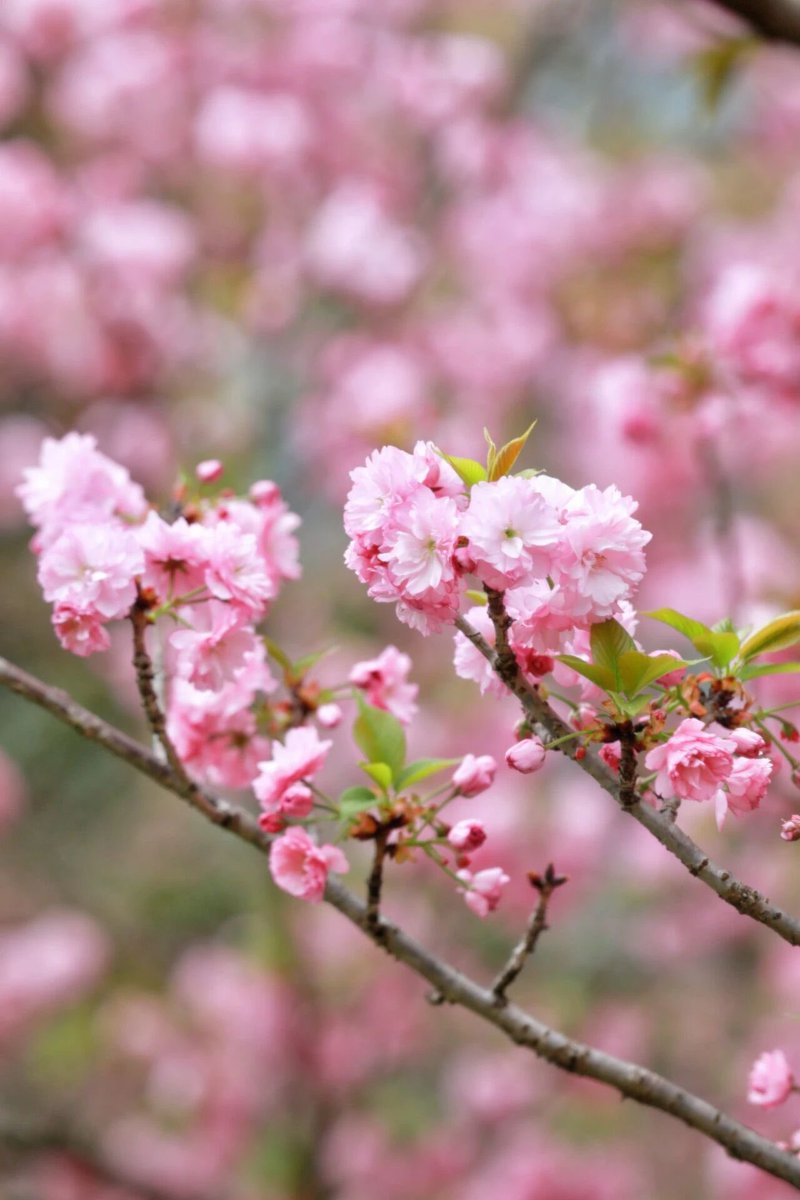 Fun ZunYi tweet media