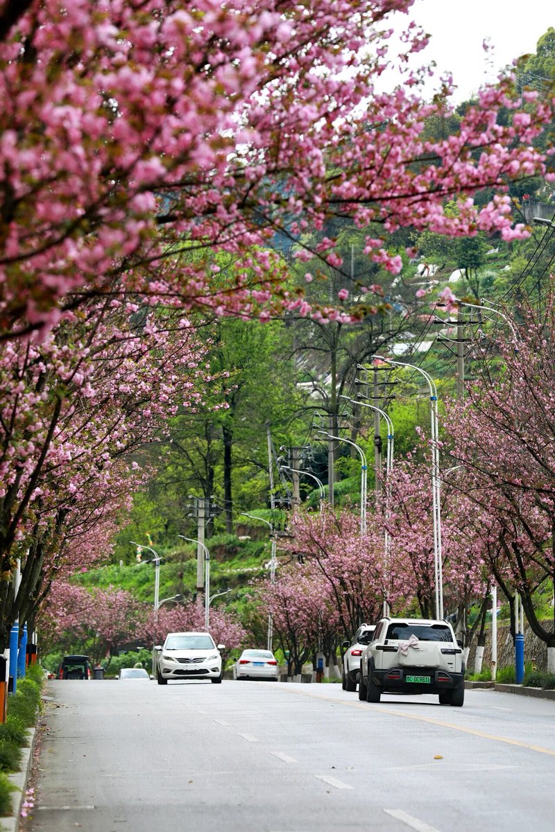 Fun ZunYi tweet media