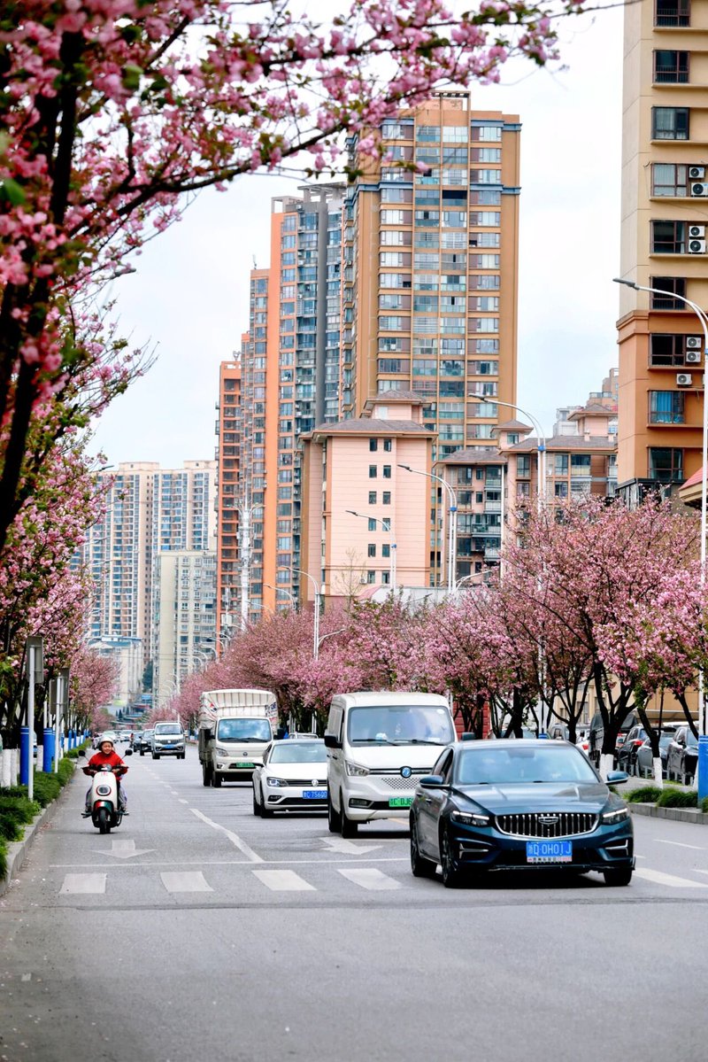 Fun ZunYi tweet media