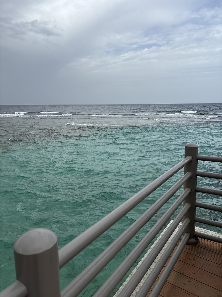 غدير نـــايف | Ghadeer Nayef tweet media