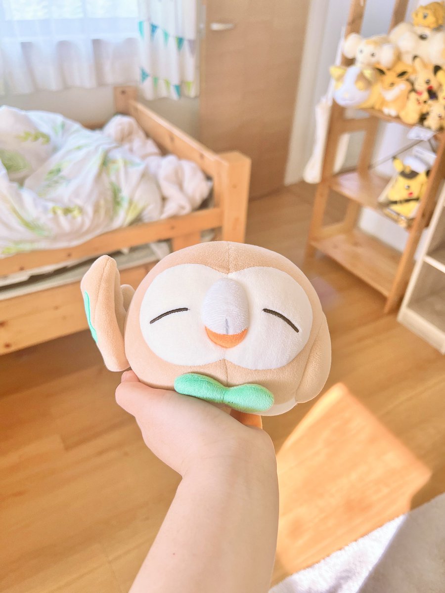 もくろトレーナー tweet media