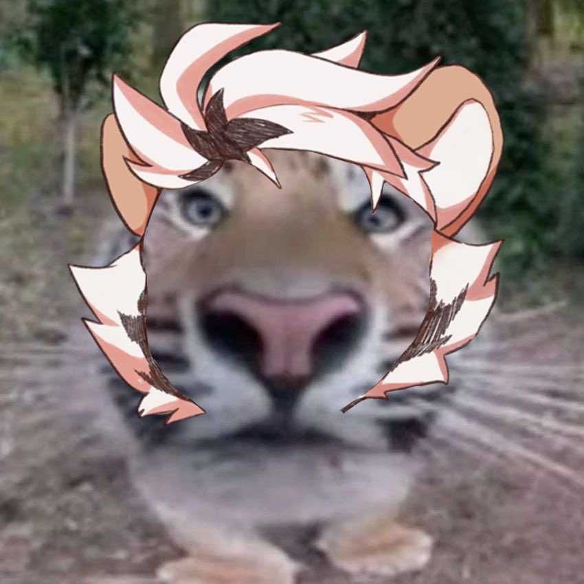 Timely arvo tweet media