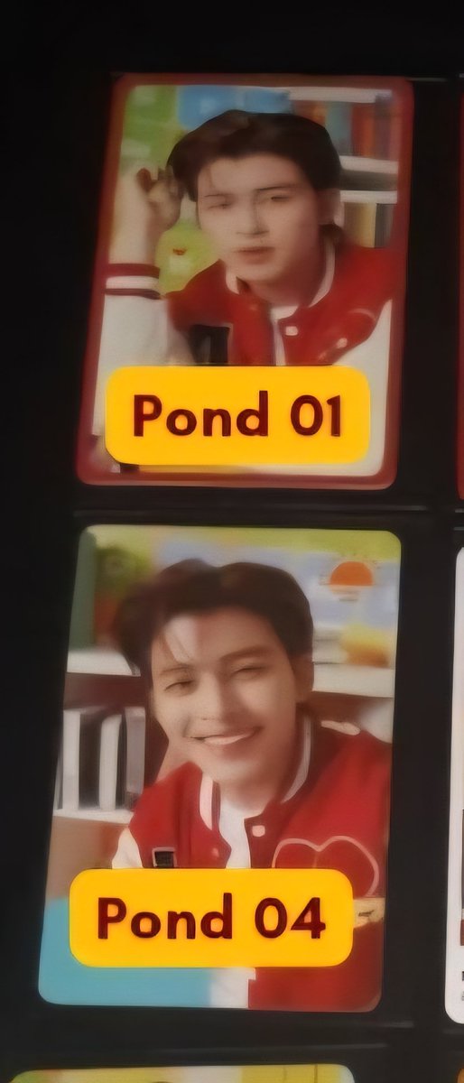 secr.etmoonlights tweet media