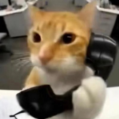 巧克力 tweet media