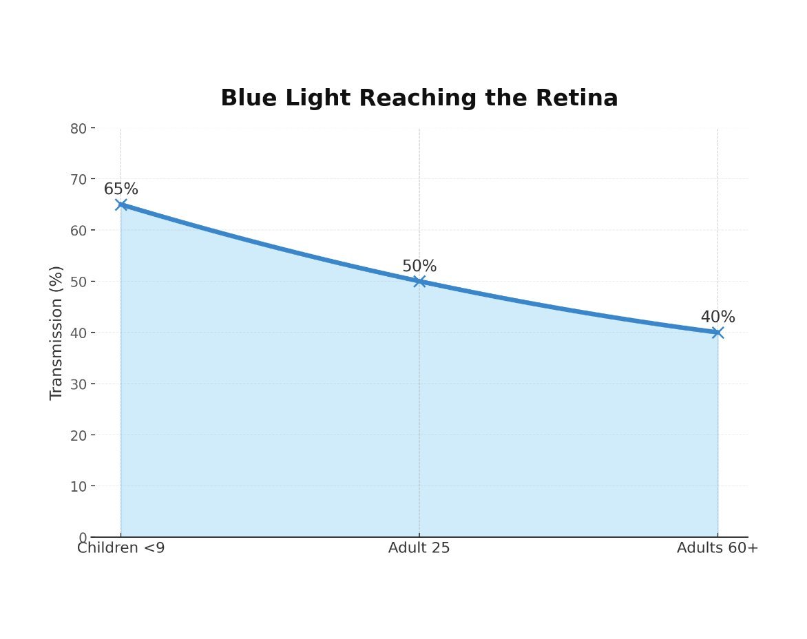 Kids’ eyes let in upto 60% MORE blue light than adults’

Think about that the next time you unlock a screen for them