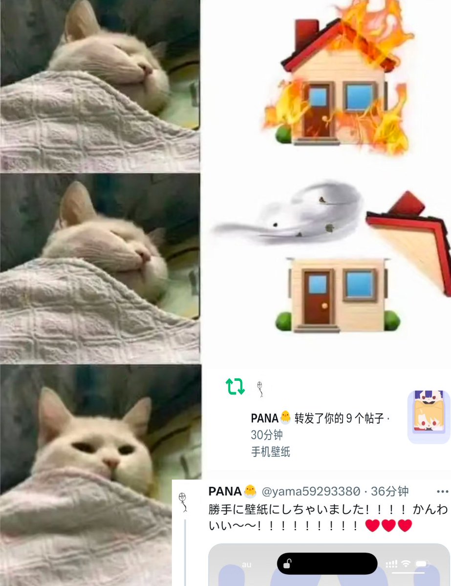 bbbox tweet media
