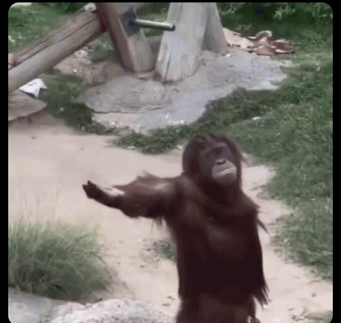 BIG H🤑 💯💰 tweet media