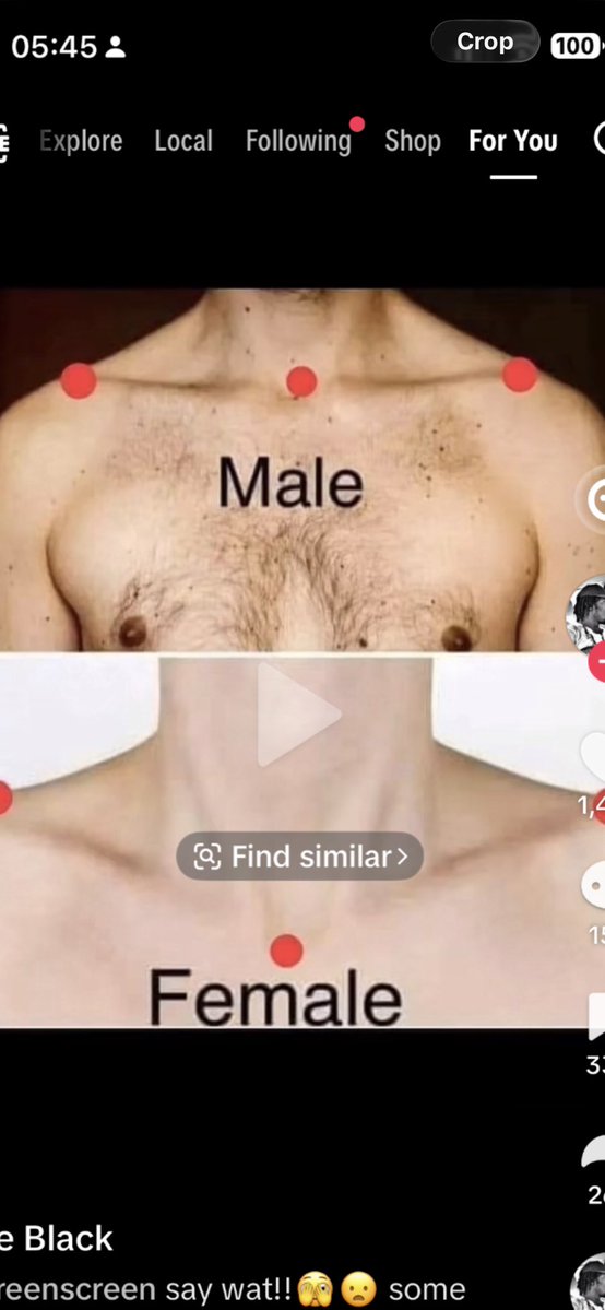 weebzvibezzz tweet media