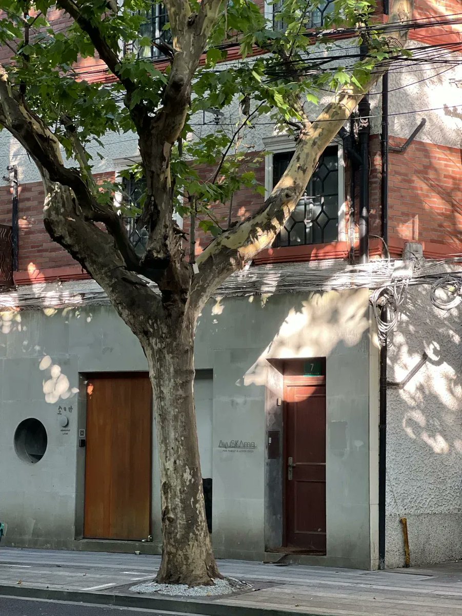 Mario Padilla tweet media