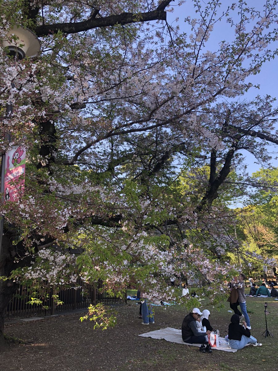 ぼるしち tweet media