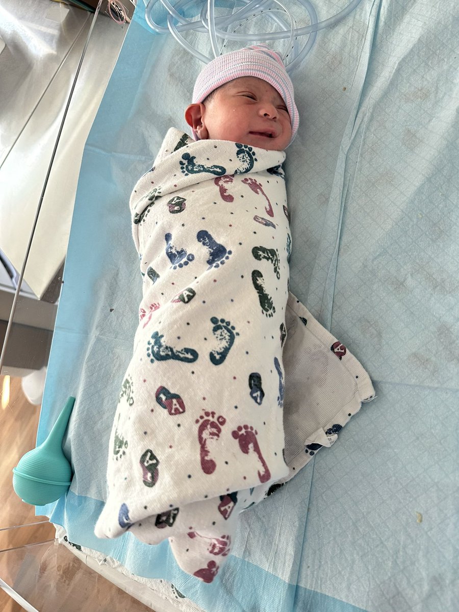 100T Wex tweet media