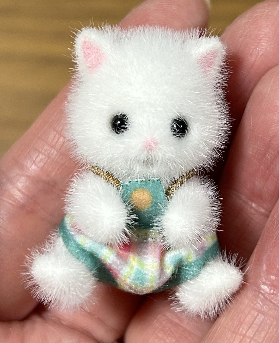 とらみ tweet media