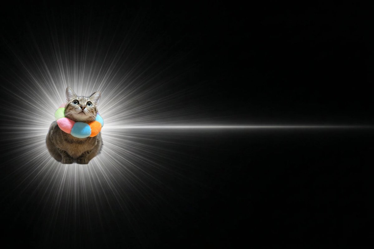 にっか tweet media