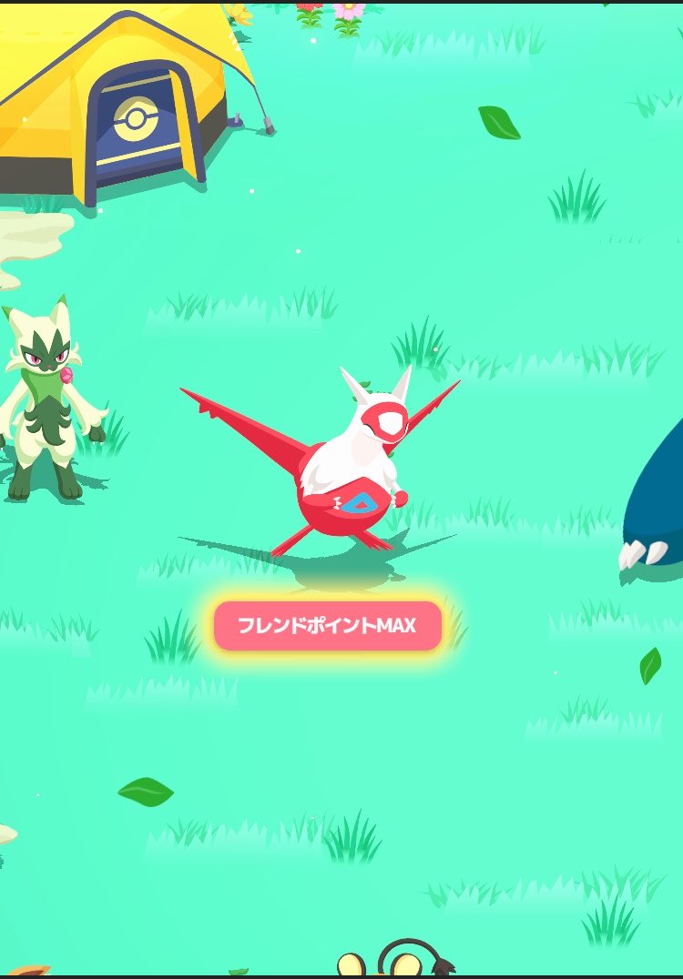 しみちょこ@ポケスリ tweet media