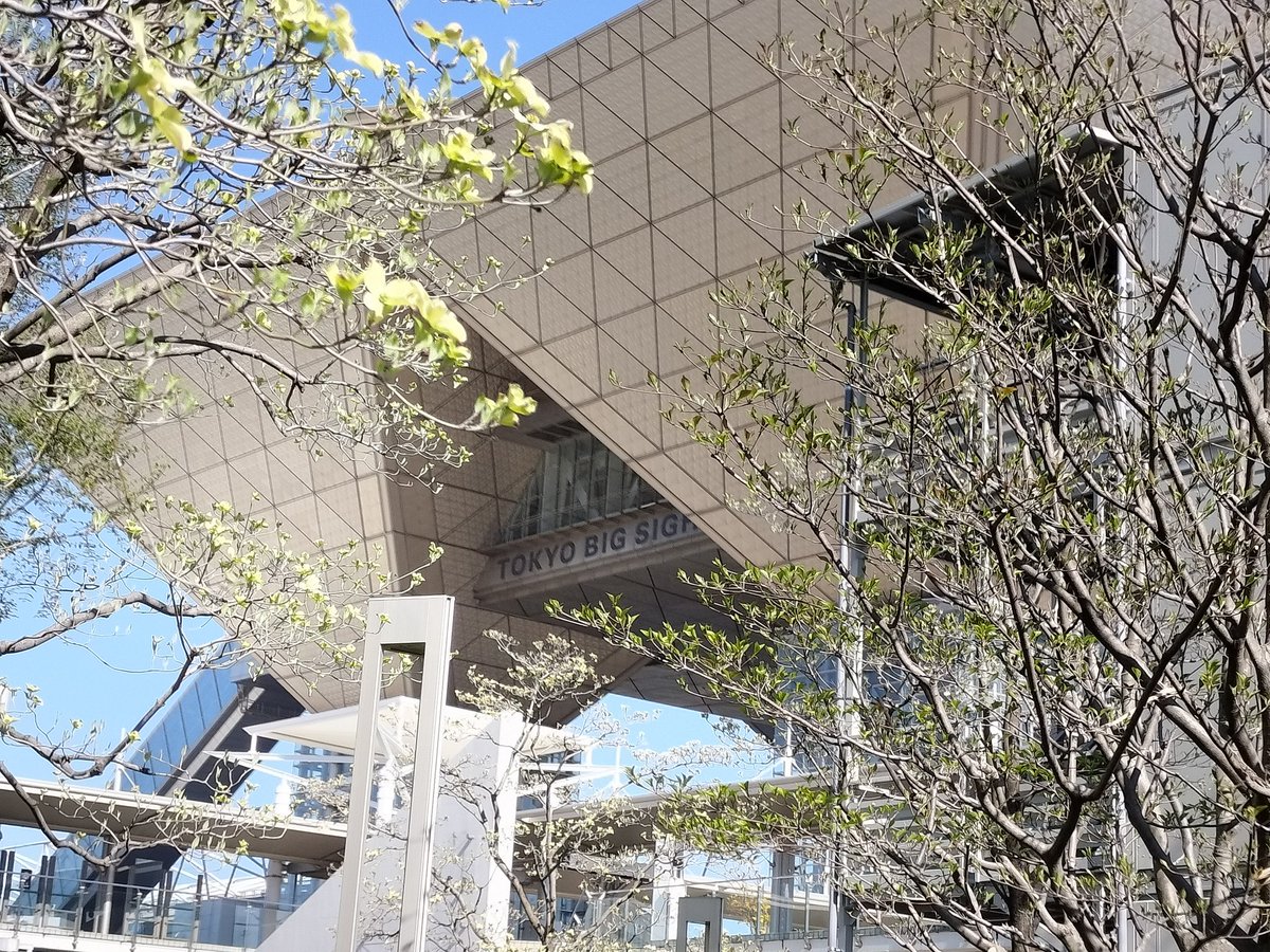 ツピパピ tweet media