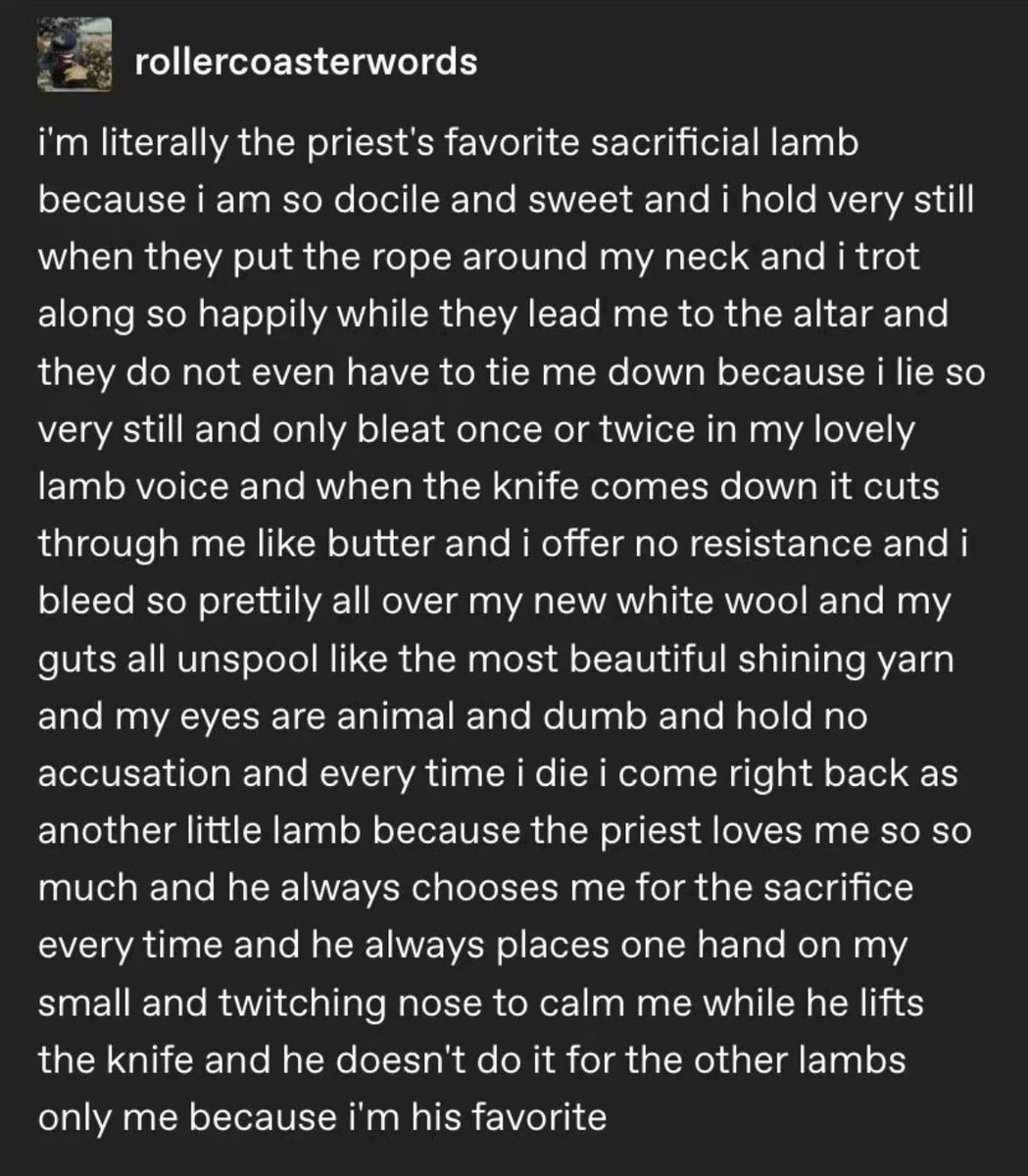 ━━━━━★. *･｡ﾟ✧⁺ Nex tweet media