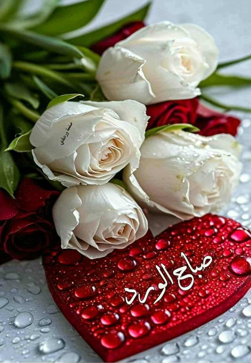 🅰🅳🅴🅻🇪🇬🆉🅴🆉🅾 tweet media