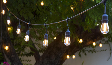 Hatsumi Nonaka 🇯🇵 初美 tweet media