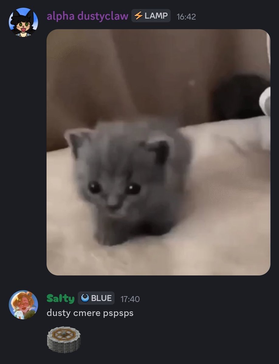 dustball ☆ tweet media