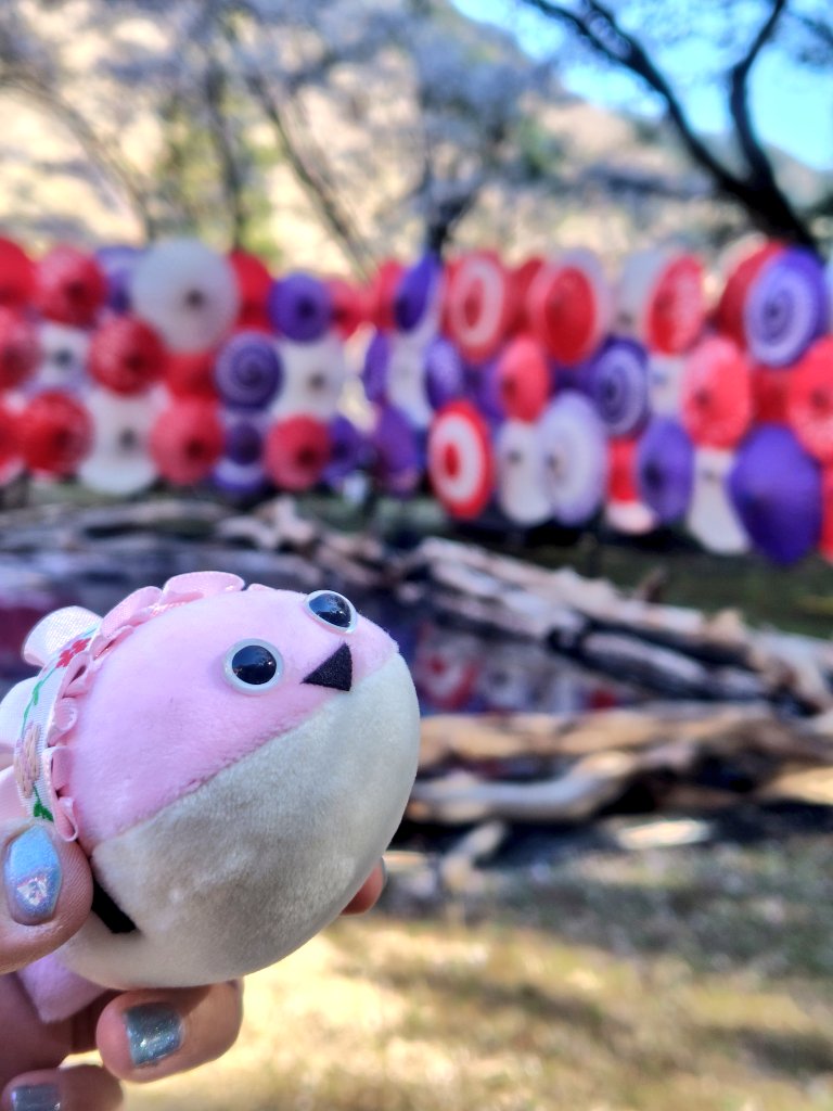 ぱせり tweet media