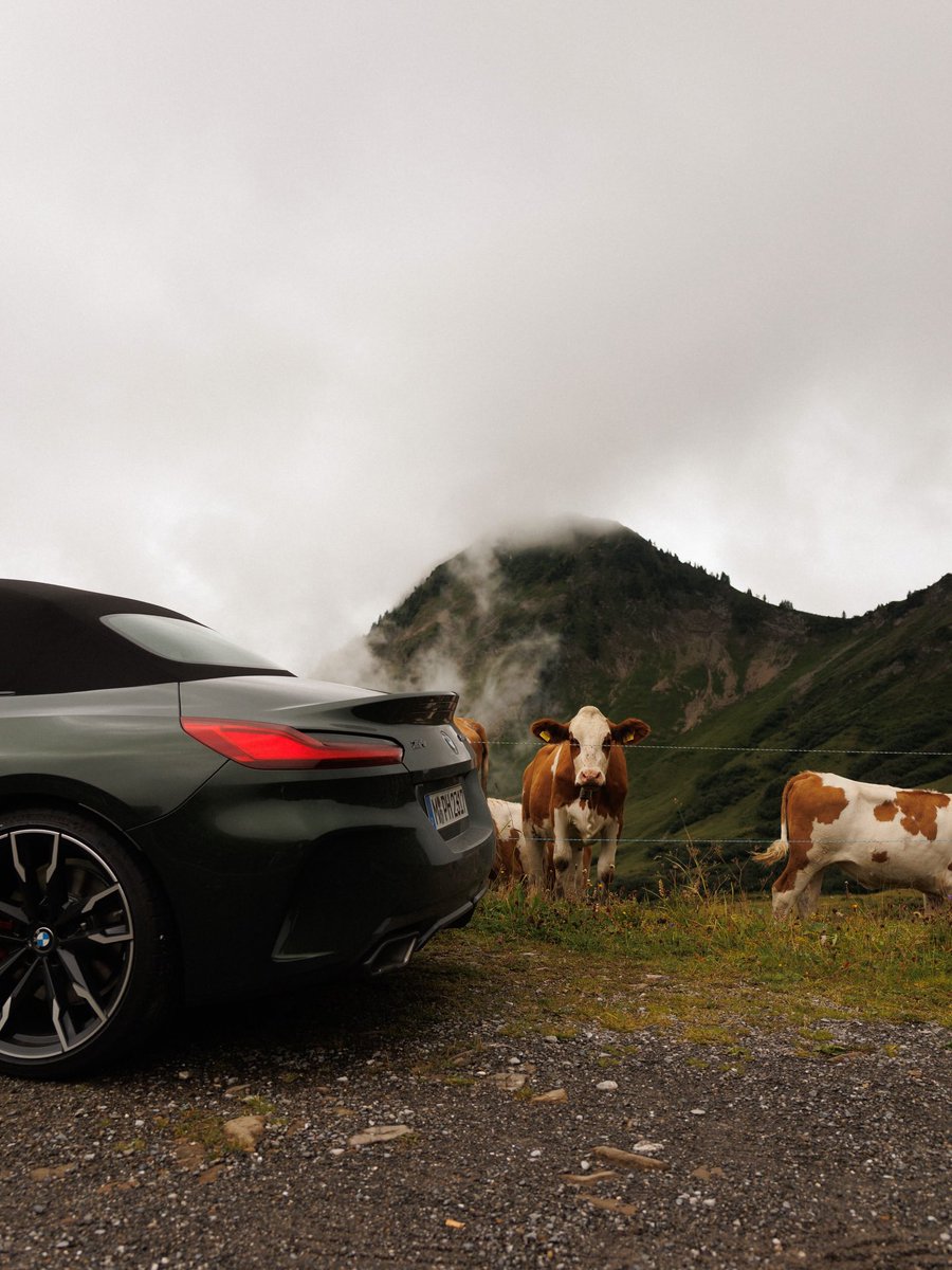 رحال tweet media