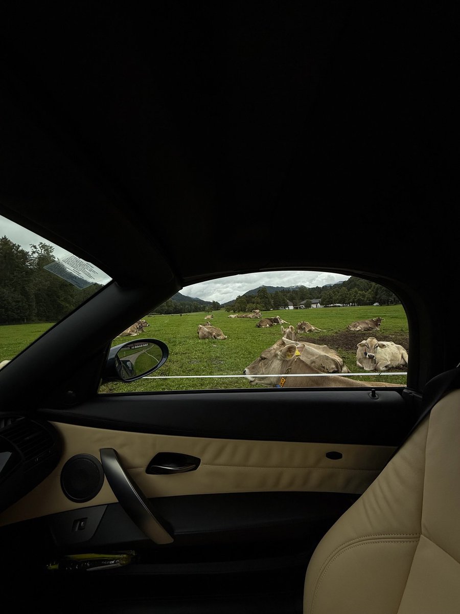 رحال tweet media