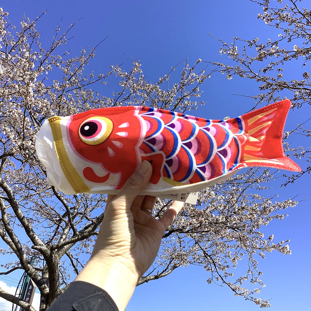 あ・ら・伊達な道の駅【公式】 tweet media