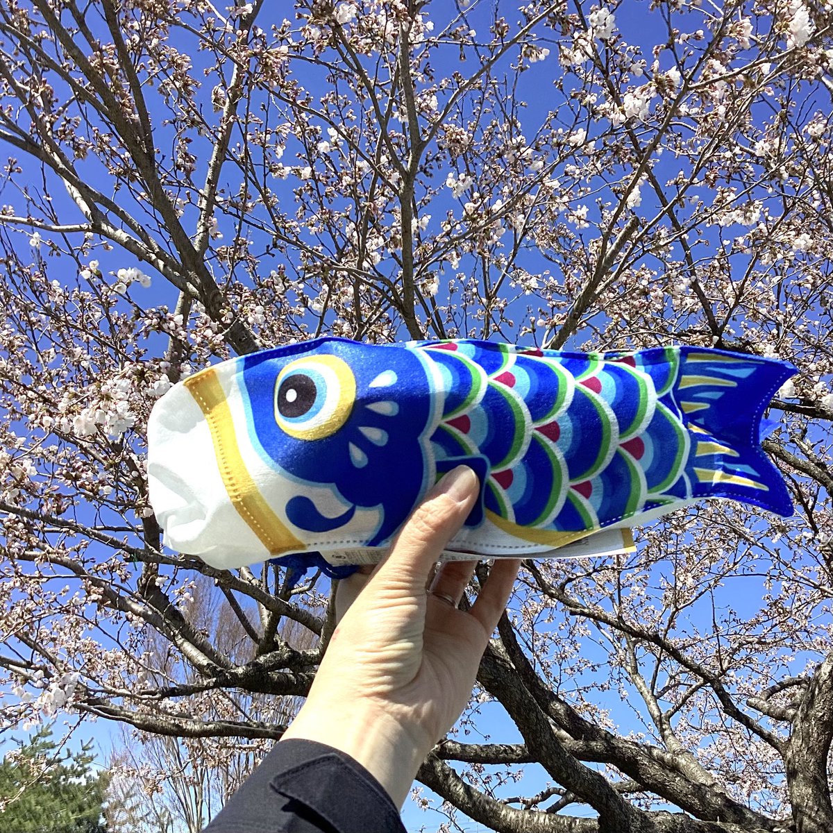 あ・ら・伊達な道の駅【公式】 tweet media